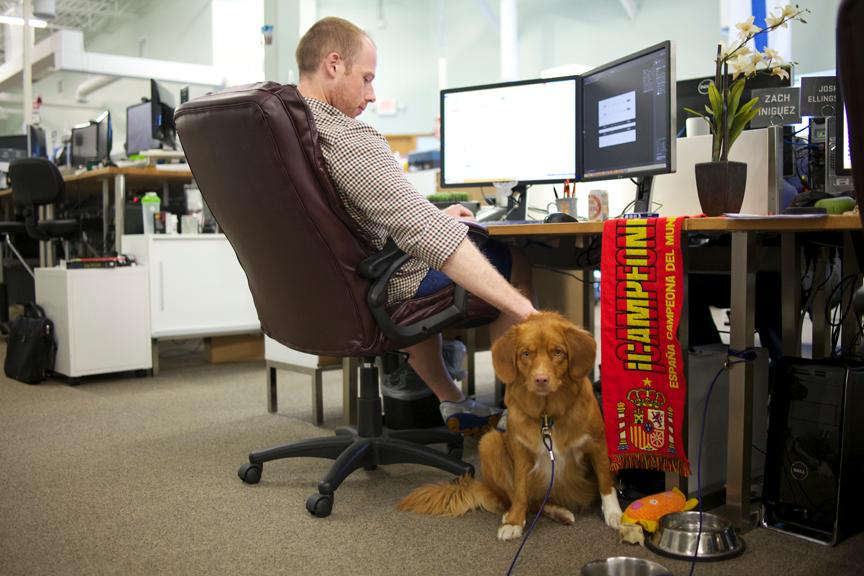 dogs_at_work_nerdery_2